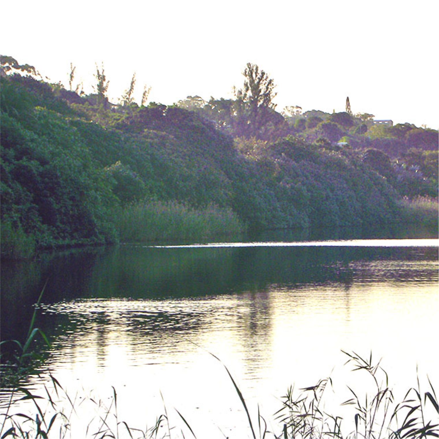 sportweni-accommodation-banana-beach-holiday-resort-04